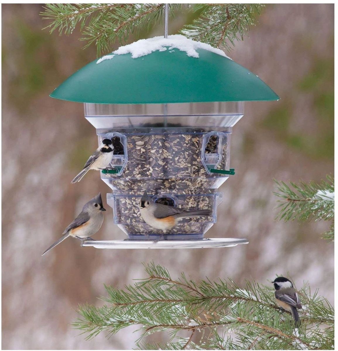 Wild Bills Feeding Frenzy High Capacity Bird Feeder with 8 Port NON